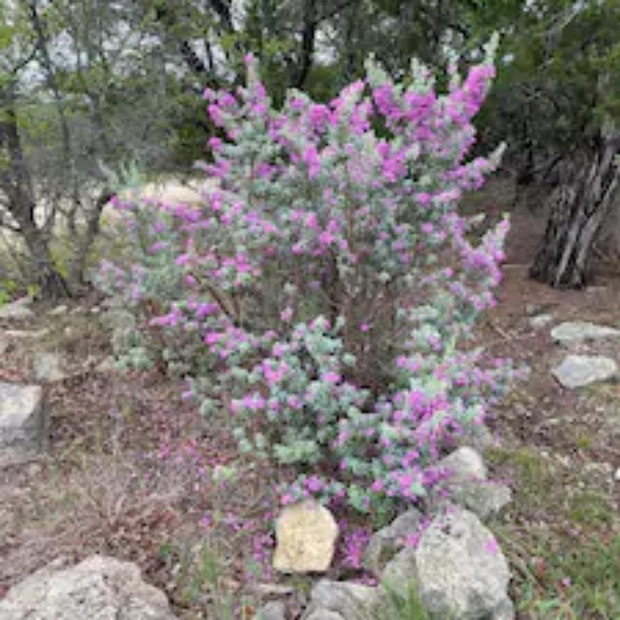 Entire 2Br 2Ba Hilltop View Home Sleeps 8 Pets 4 Acres Jacuzzi Central Ac Kingbeds Free Wifi-Parking Kitchen Washerdryer Starry Terrace Two Sunset Dining Patios Grill Stovetop Oven Fridge Onsitewoodedhiking Wildlife Coveredpatio4Pets & Birds Singing! ماربل فولز المظهر الخارجي الصورة